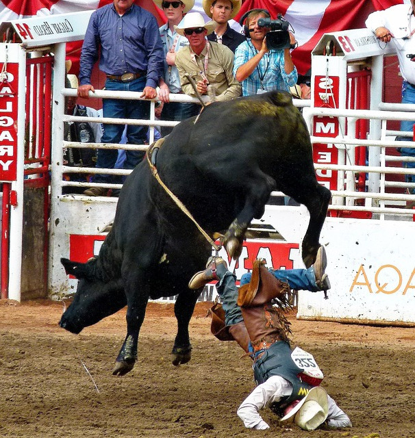 chute du candidat